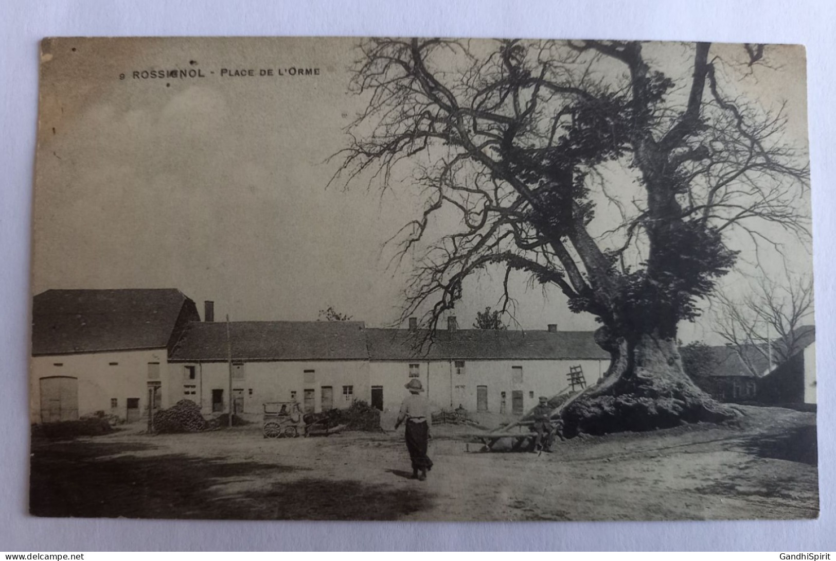 Belgique - Tintigny - Rossignol - Place De L'Orme - Arbre Magnifique - Attelage - Tintigny