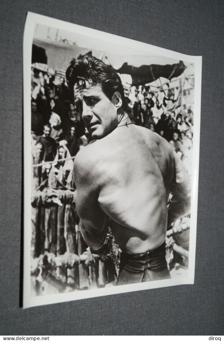 RARE,Steve Reeves, Grande Photo Originale Pour Le Cinéma,25,5 Cm. Sur 20,5 Cm. - Foto