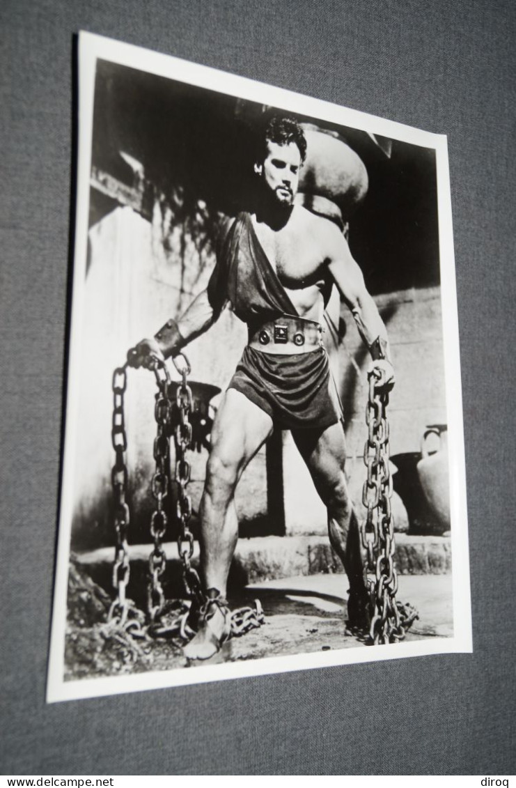 RARE,Steve Reeves, Grande Photo Originale Pour Le Cinéma,25,5 Cm. Sur 20,5 Cm. - Photographs