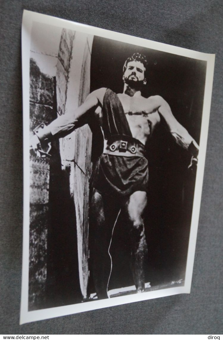 RARE,Steve Reeves, Grande Photo Originale Pour Le Cinéma,25,5 Cm. Sur 20,5 Cm. - Fotos