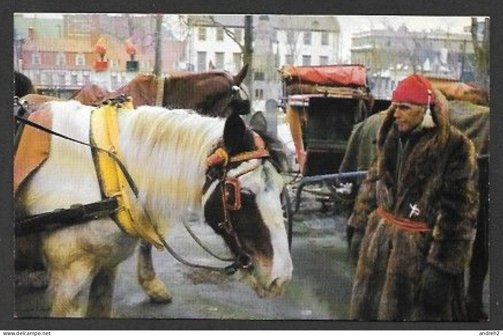 Québec - Calèche De Québec - Un Cocher Qui Prend Soin De Son Cheval - Par La Societé Kent - Québec - Château Frontenac