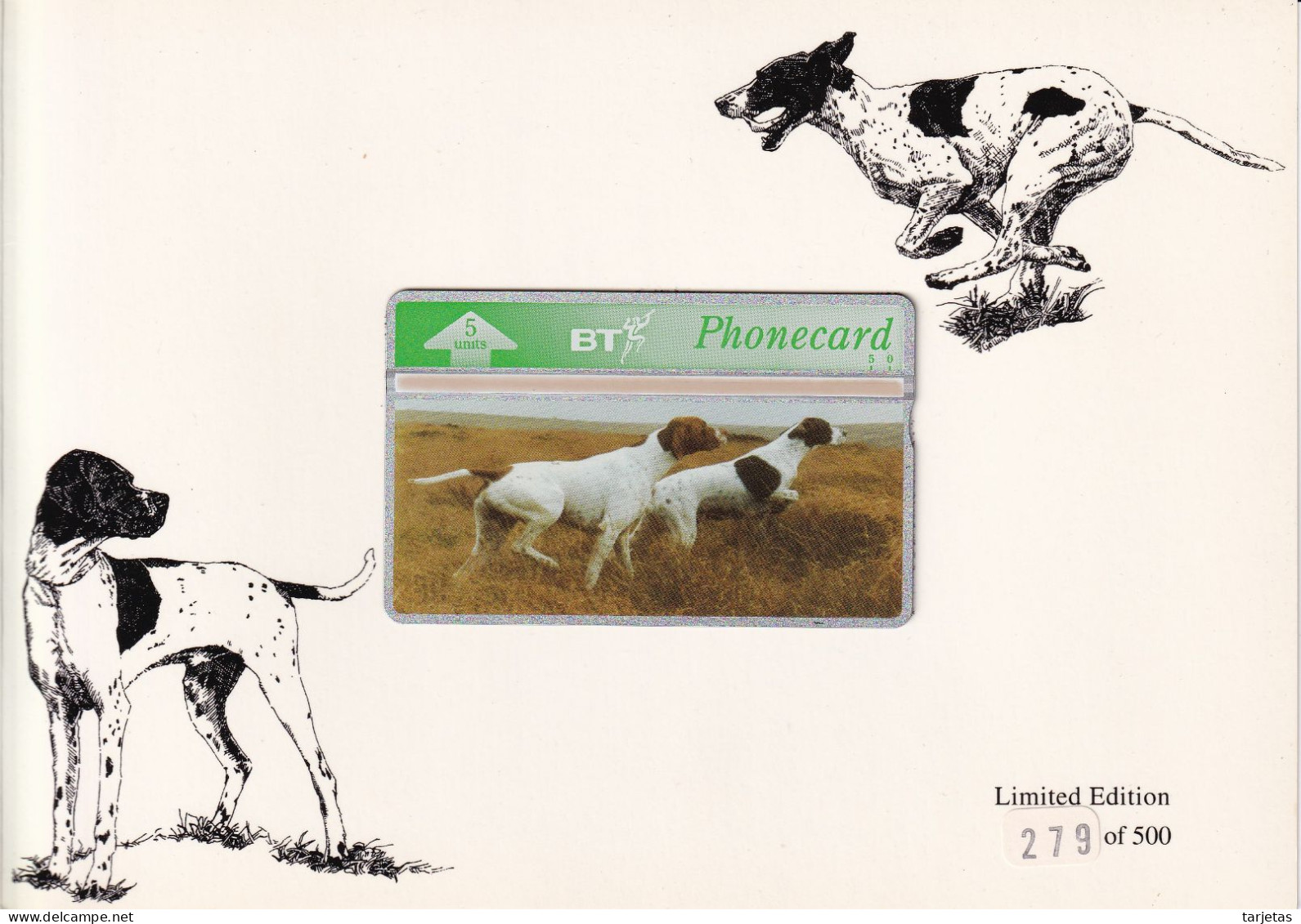 FOLDER CON 1 TARJETA DE BT DE UN PERRO POINTER DE TIRADA 500 (CAN-DOG) (NUEVAS-MINT) - Dogs