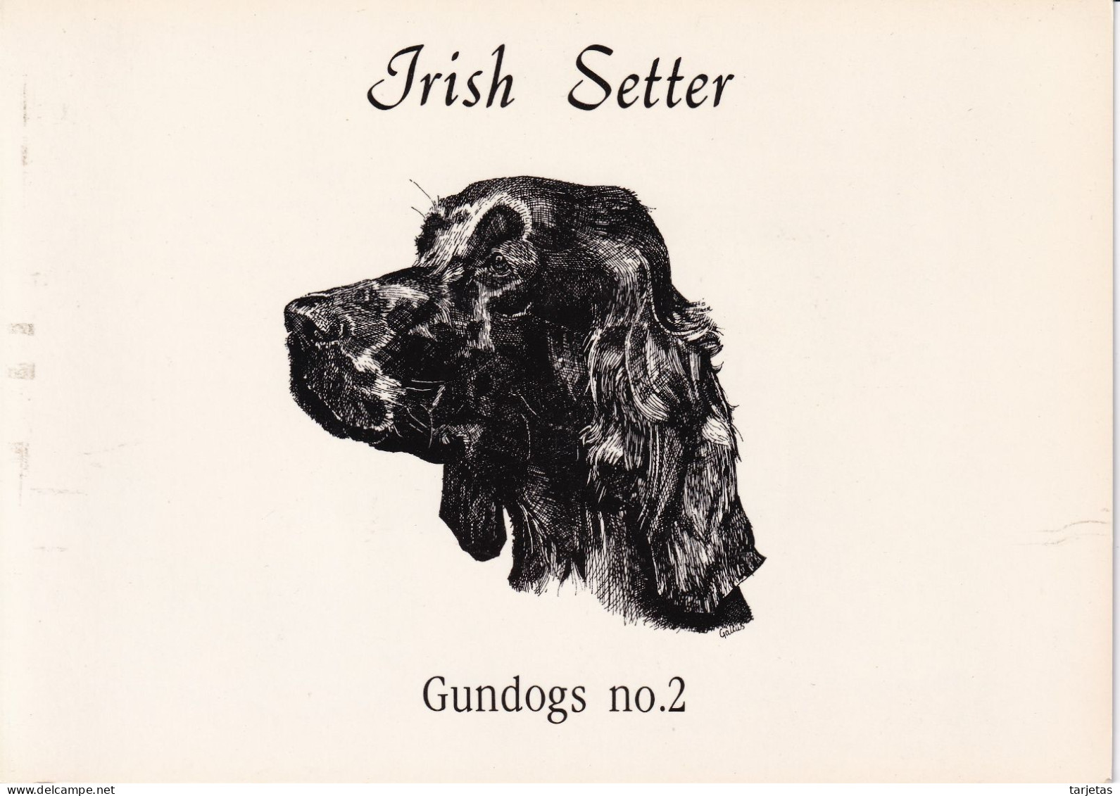 FOLDER CON 1 TARJETA DE BT DE UN PERRO IRISH SETTER DE TIRADA 500 (CAN-DOG) (NUEVAS-MINT) - Dogs