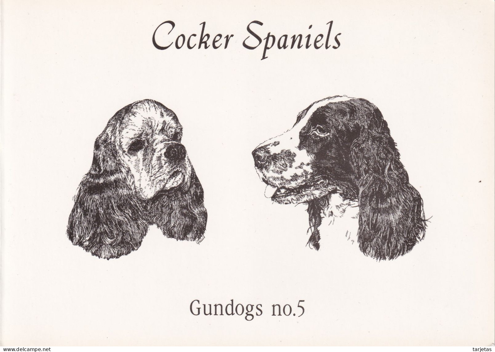 FOLDER CON 2 TARJETAS DE BT DE UN PERRO COCKER SPANIEL DE TIRADA 500 (CAN-DOG) (NUEVAS-MINT) - Dogs