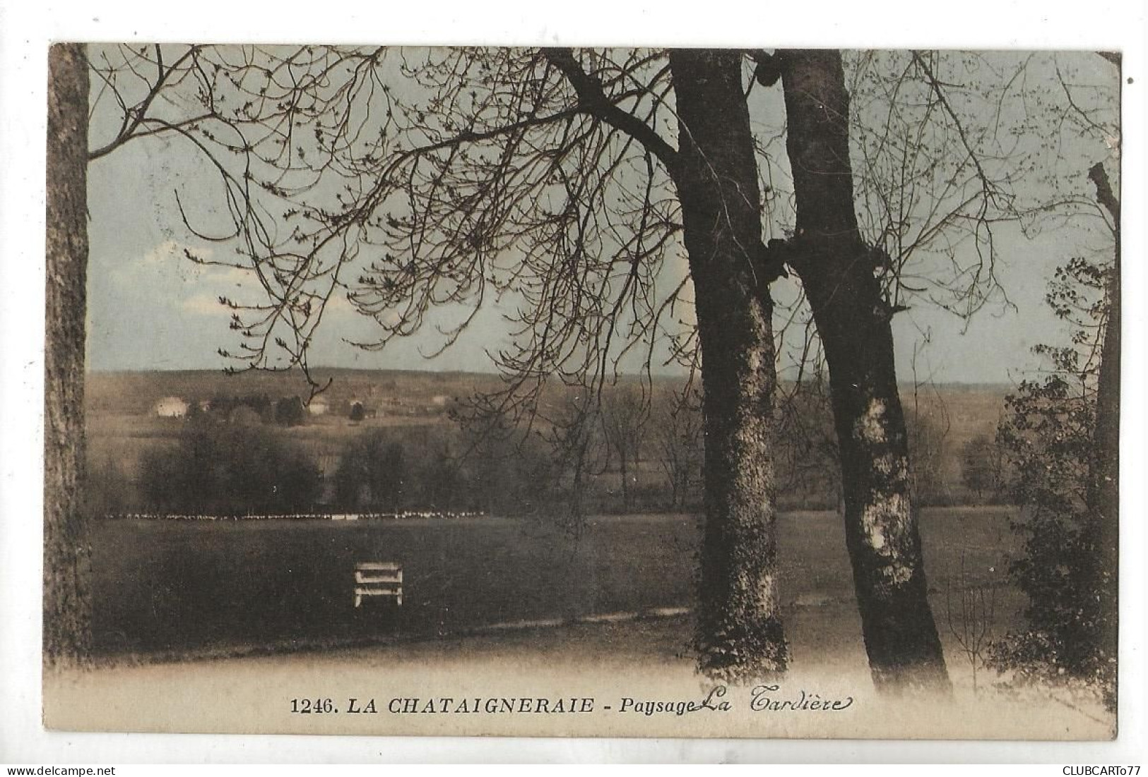 La Châtaigneraie (85) : La Pelouse De La Villa "La Tardière" En 1931 PF. - La Chataigneraie