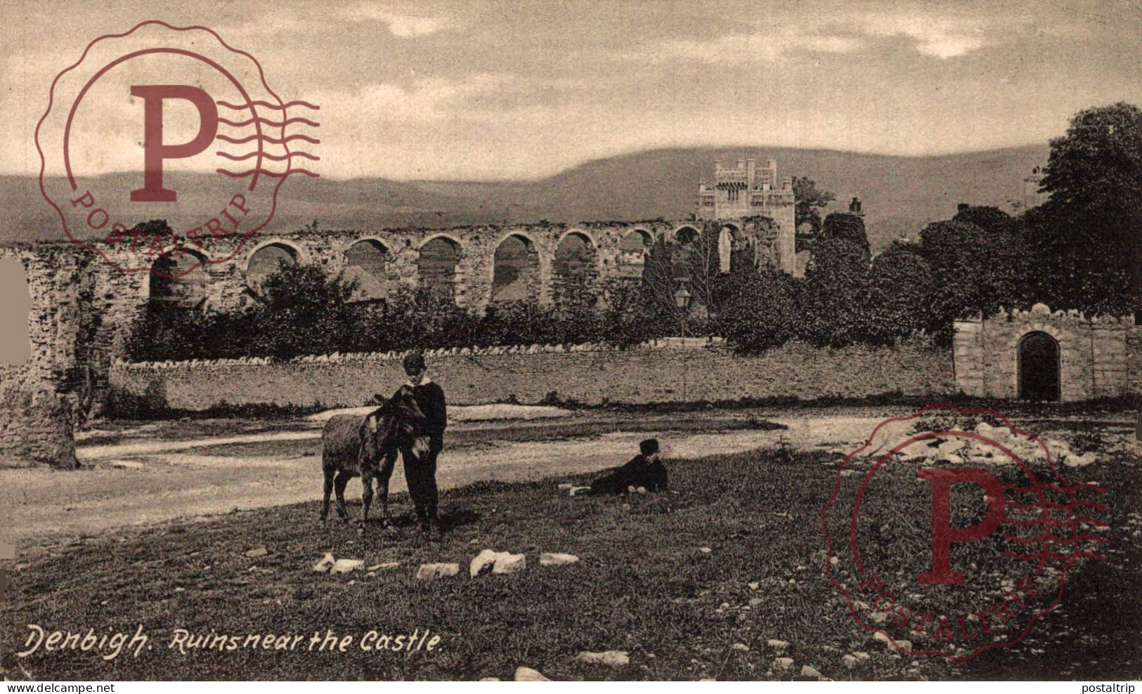 WALES. DENBIGH, RUINS NEAR THE CASTLE - Denbighshire