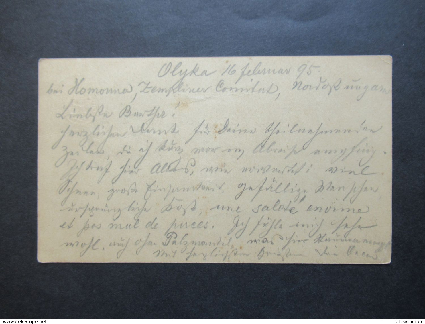 Ungarn 1895 Ganzsache Geschrieben In Olyka Stempel Homonna Nach Osnabrück Gesendet Mit Ank. Stempel - Postwaardestukken