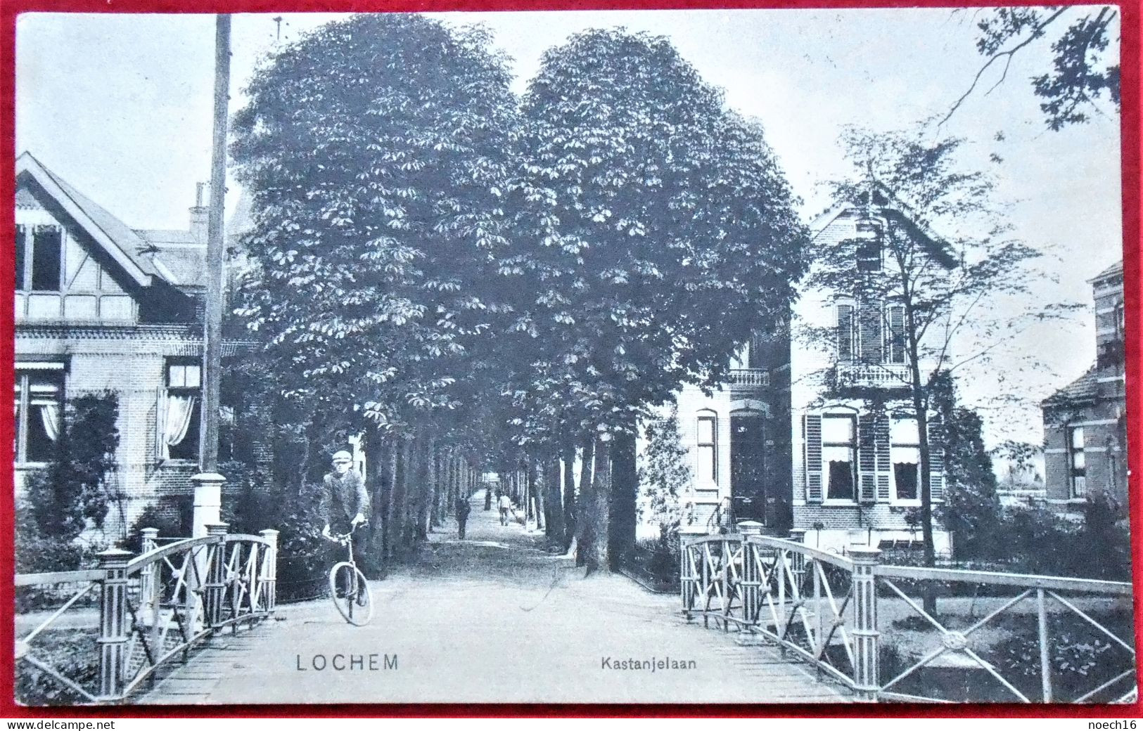 CPA 1909 NL  Lochem,  Kastanjelaan - Lochem