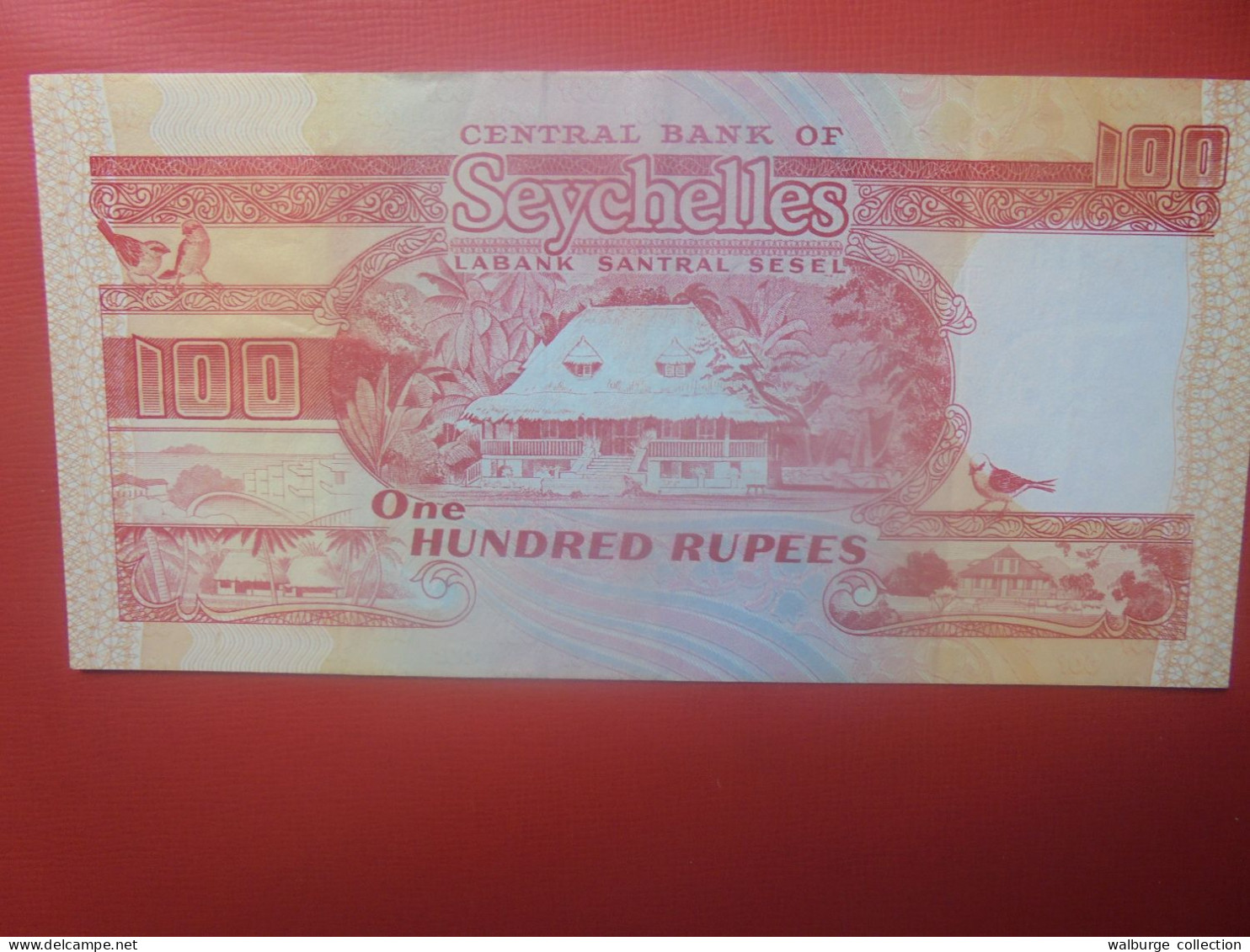 SEYCHELLES 100 Rupees 1989 Circuler (B.29) - Seychellen