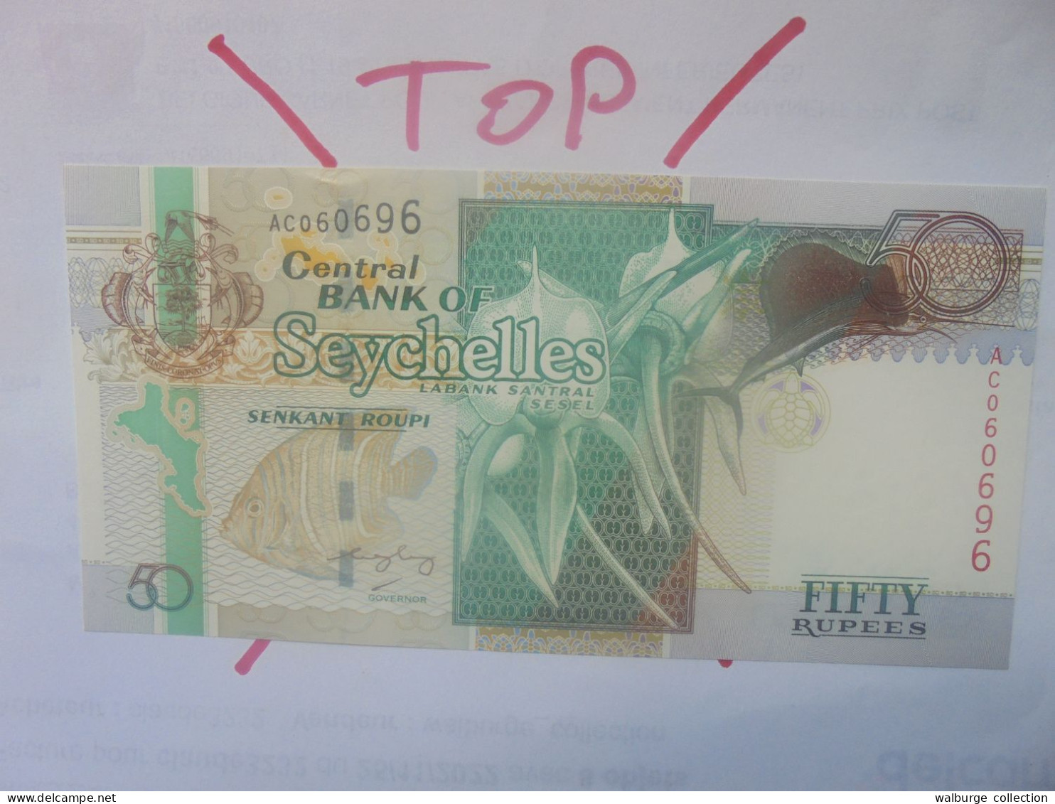 SEYCHELLES 50 Rupees 1998 Neuf (B.29) - Seychelles