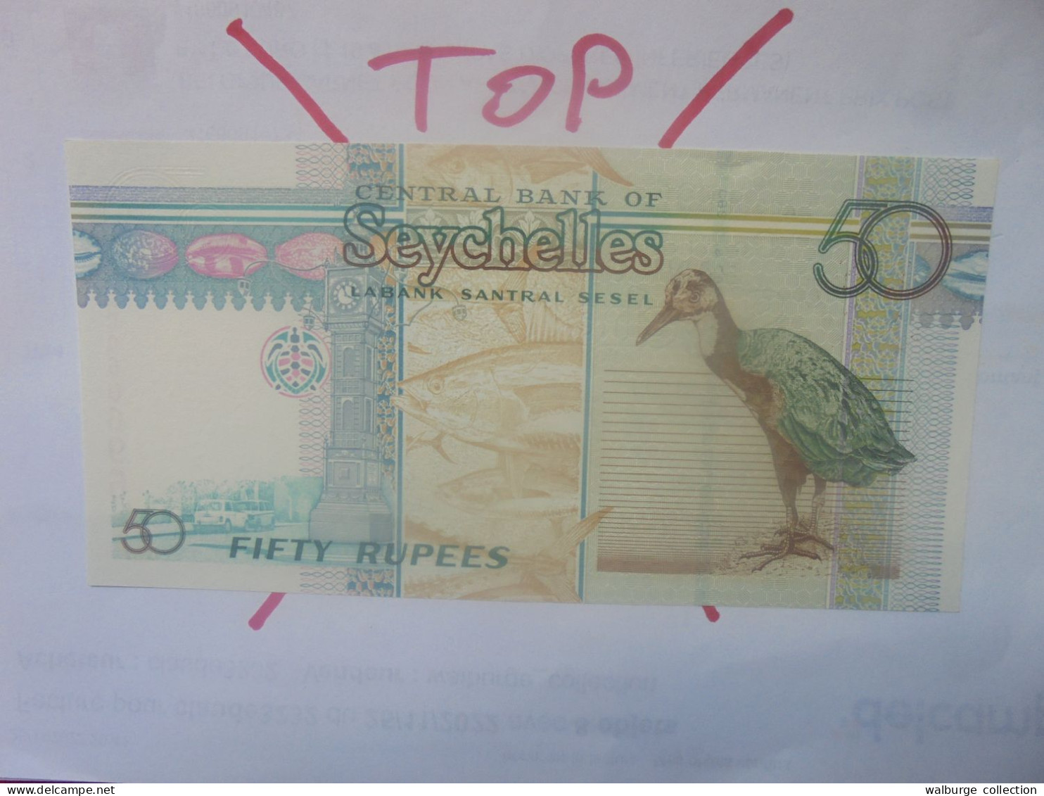 SEYCHELLES 50 Rupees 1998 Neuf (B.29) - Seychellen