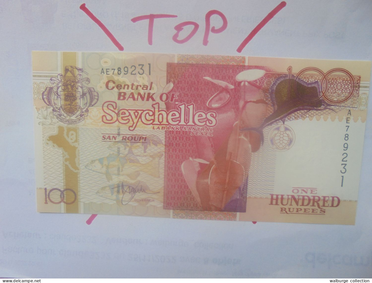 SEYCHELLES 100 Rupees 1998 Neuf (B.29) - Seychellen