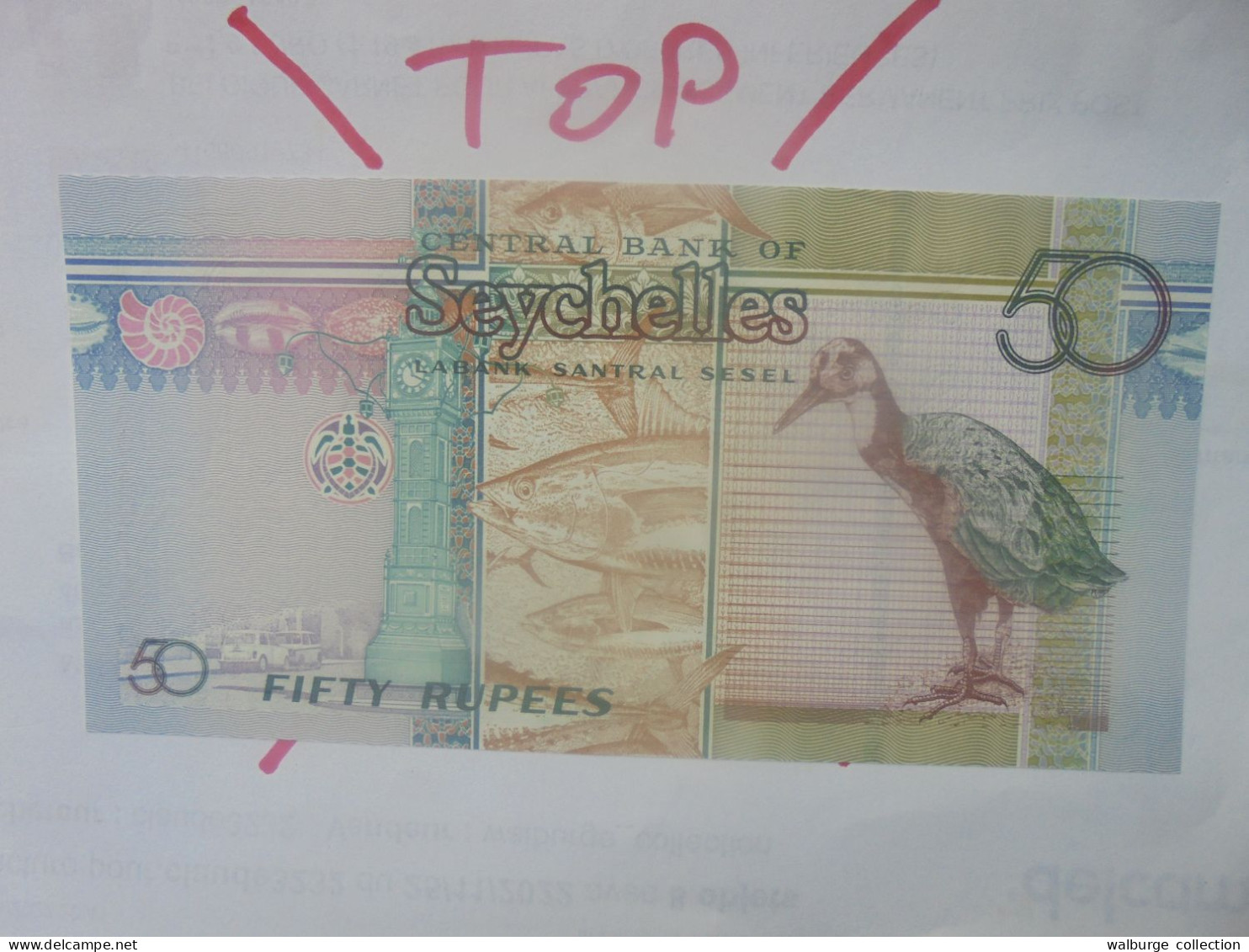 SEYCHELLES 50 Rupees 2011 Neuf (B.29) - Seychellen