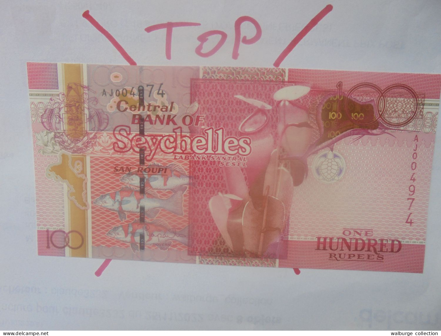 SEYCHELLES 100 Rupees 2011 Neuf (B.29) - Seychellen