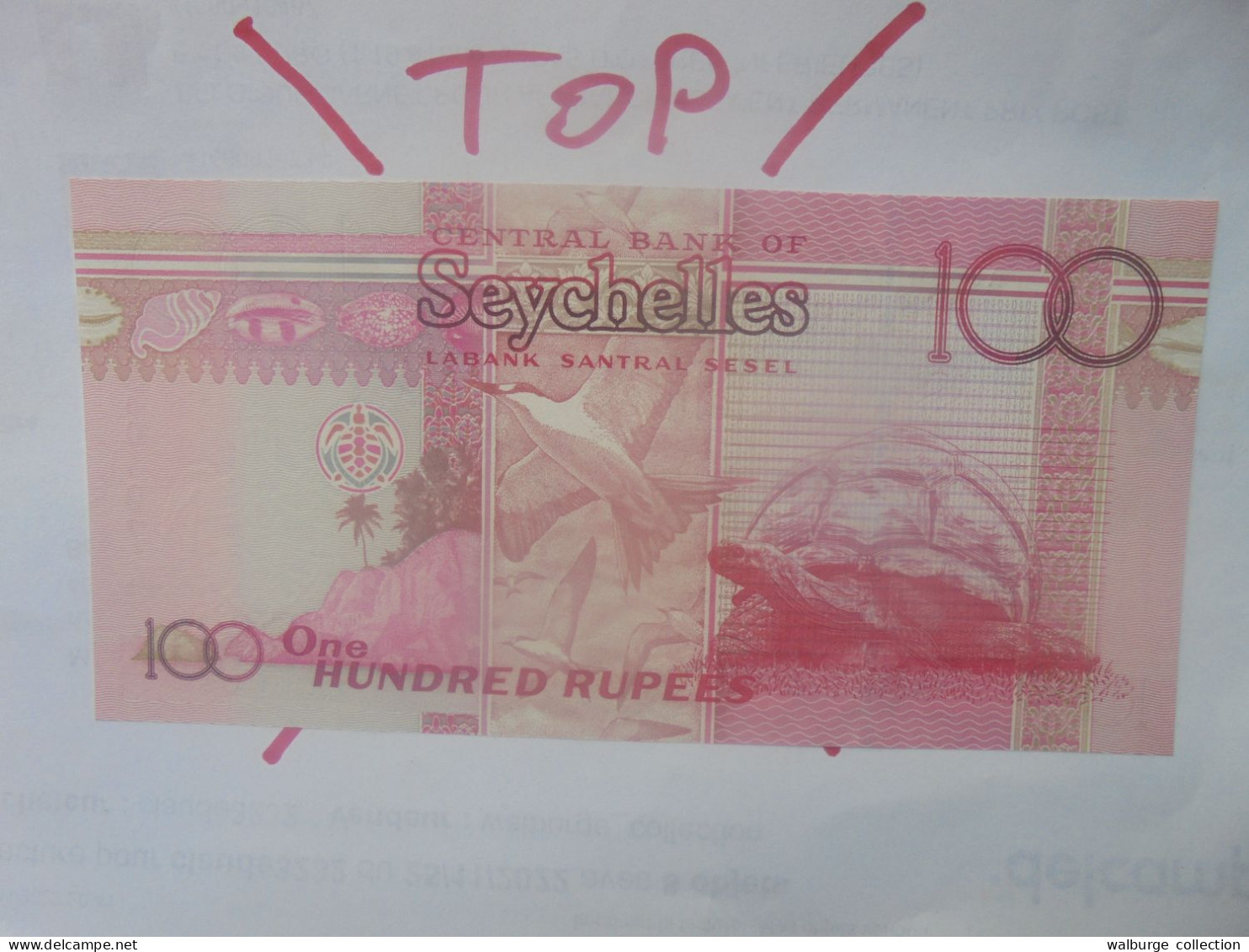 SEYCHELLES 100 Rupees 2011 Neuf (B.29) - Seychellen