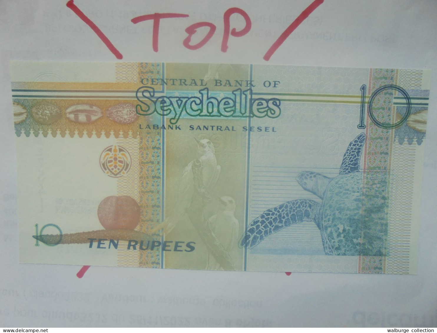 SEYCHELLES (Commémorative Issue) 10 Rupees 2013 Neuf (B.29) - Seychellen