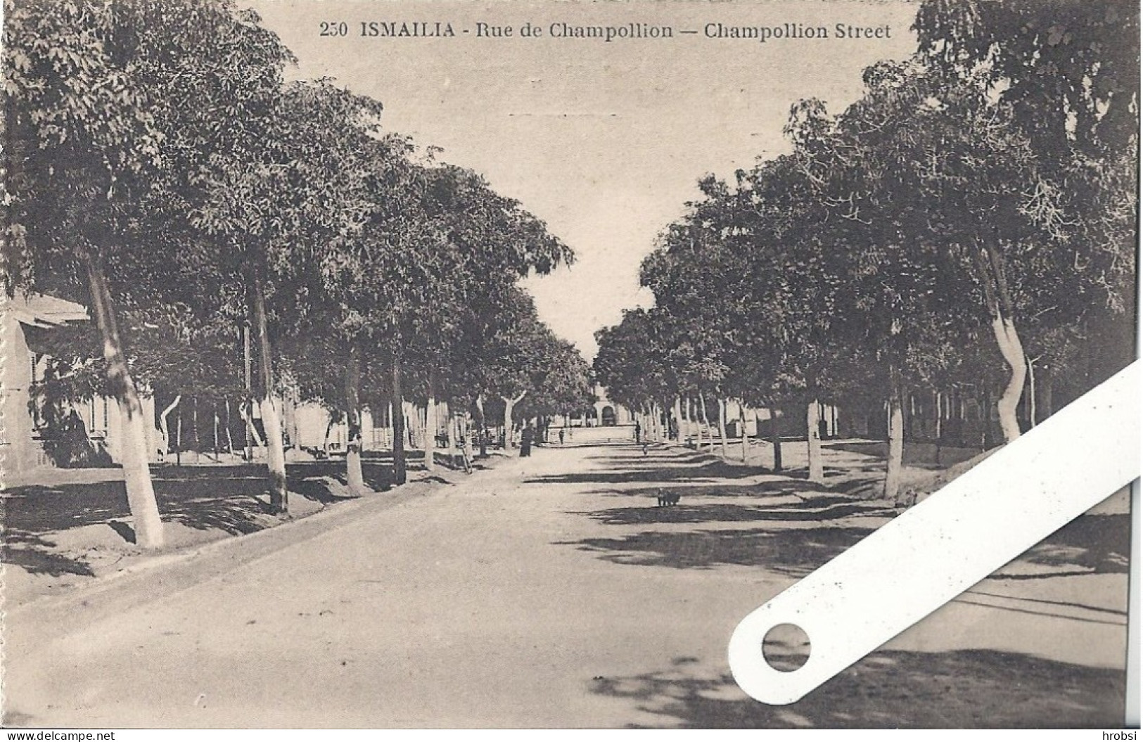 Egypte, Ismailia,   Rue E Champollion - Ismailia