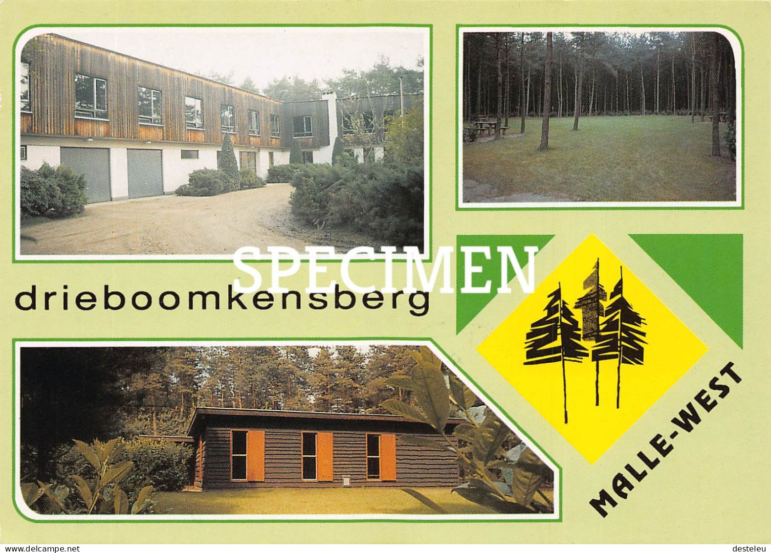 Drieboomkensberg - Malle West - Malle