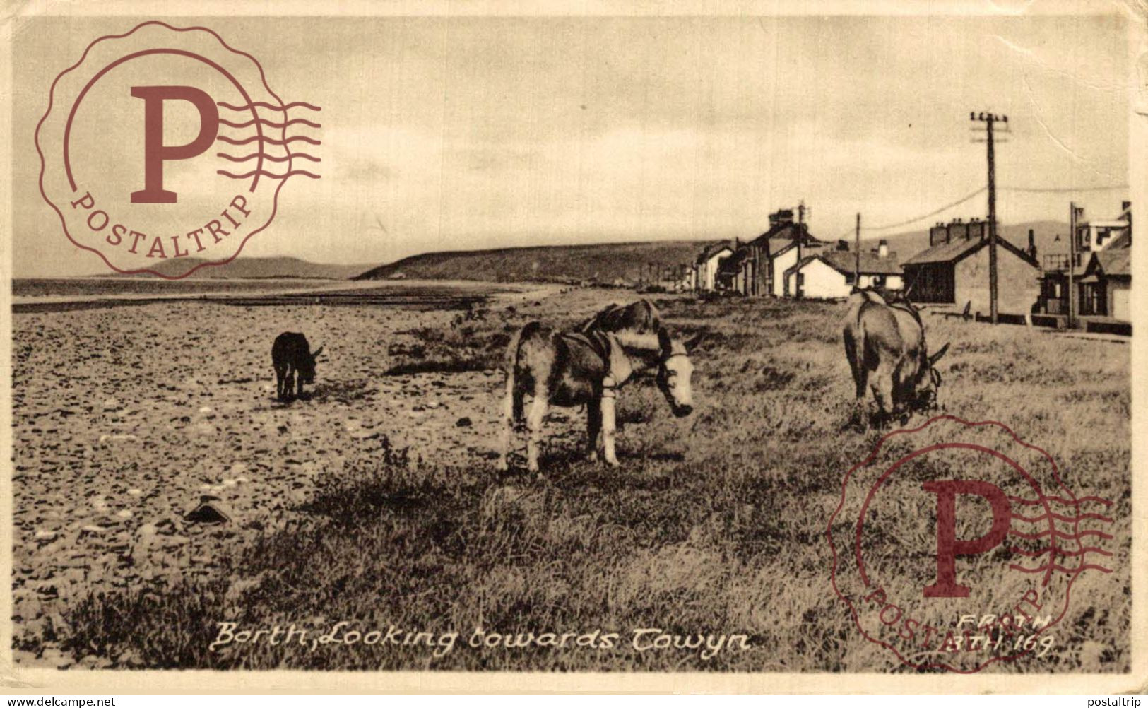 UK. BORTH. LOOKING TOWARDS TOWYN - Cardiganshire