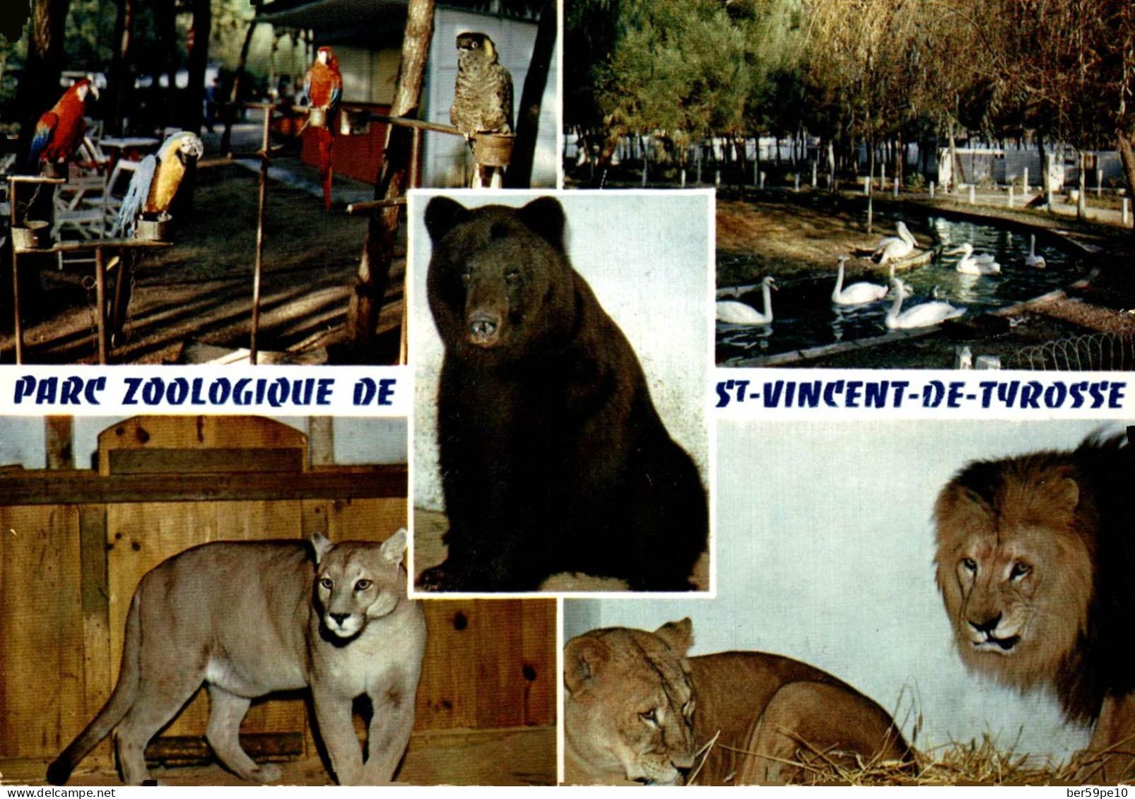 40 PARC ZOOLOGIQUE DE SAINT VINCENT DE TYROSSE NATIONALE 10 PERROQUETS CYGNES OURS PUMA LIONS - Saint Vincent De Tyrosse