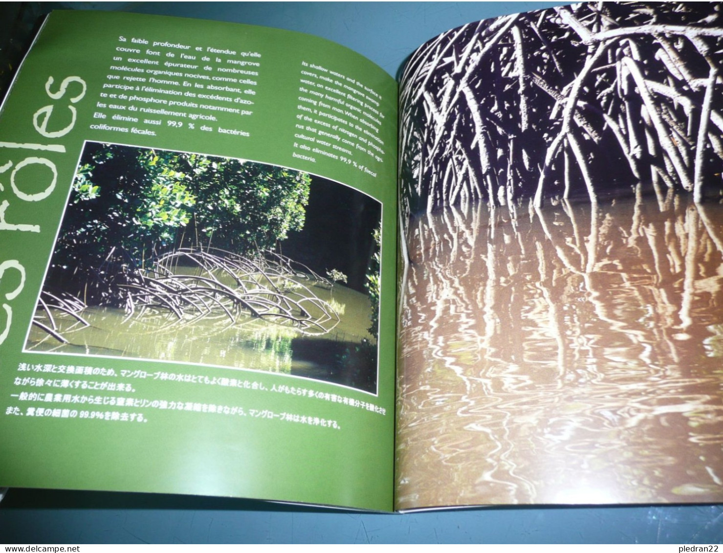 NOUVELLE CALEDONIE FABIENNE BOURDEAU MITCHELL LEFEBVRE MANGROVE CALEDONIENNE ENTRE TERRE ET MER 2003 - Unclassified