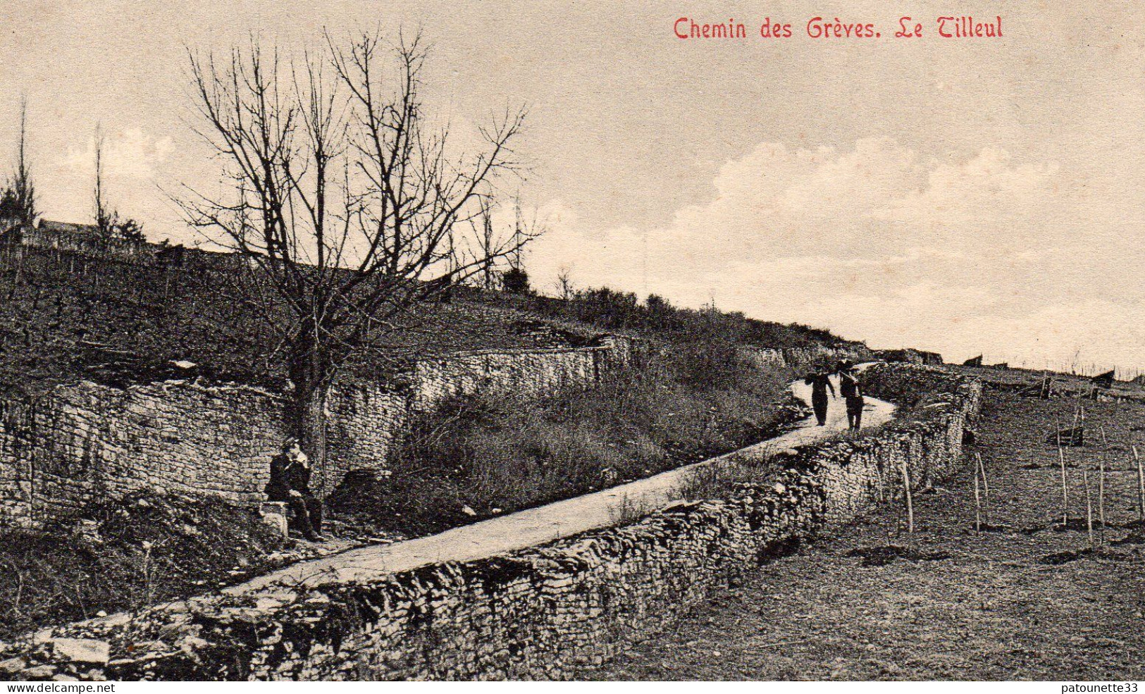 21 PRES BEAUNE CHEMIN DES GREVES LE TILLEUL ANIMEE SOCIETE DES MONTAGNARDS BEAUNOIS 1908 - Feuquieres En Vimeu