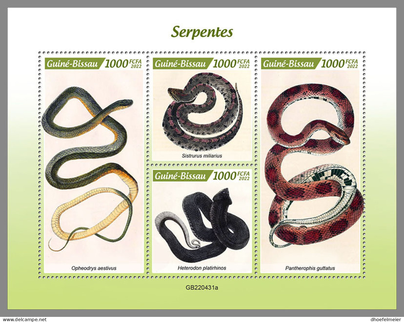 GUINEA BISSAU 2022 MNH Snakes Schlangen Serpents M/S - IMPERFORATED - DHQ2324 - Serpents