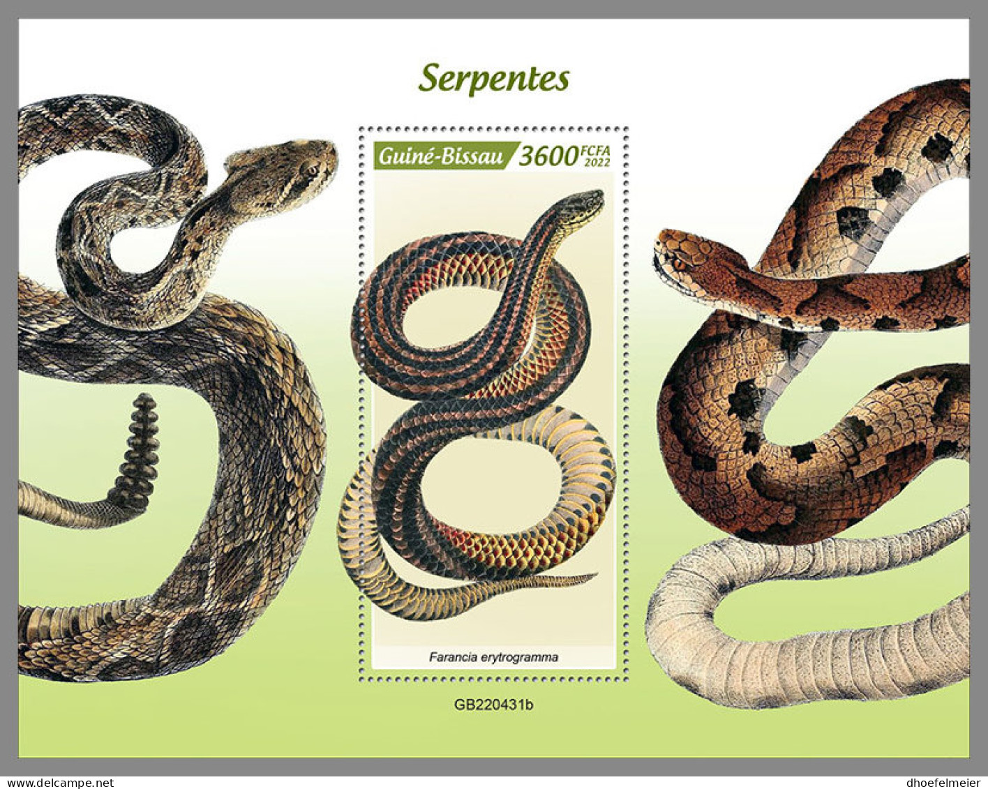 GUINEA BISSAU 2022 MNH Snakes Schlangen Serpents S/S - IMPERFORATED - DHQ2324 - Serpents