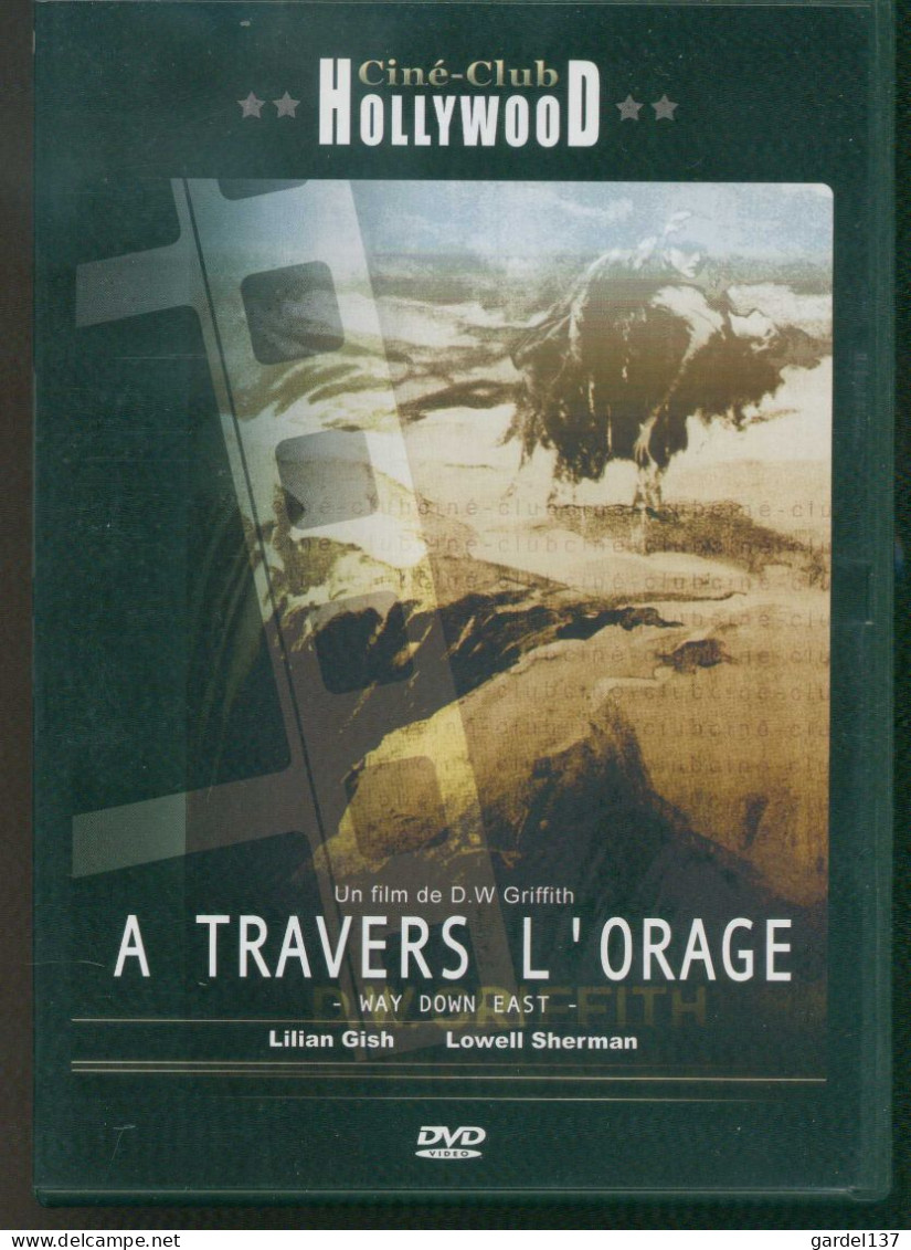 DVD Ciné-Club Hollywood : A Travers L'orage De D. W. Griffith - Colecciones & Series