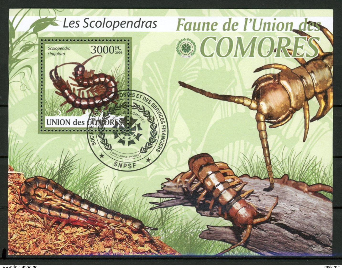 AR2-21 Comores Bloc N° 216 Oblitéré Les Scolopandras à 10 % De La Cote   A Saisir !!! - Comores (1975-...)
