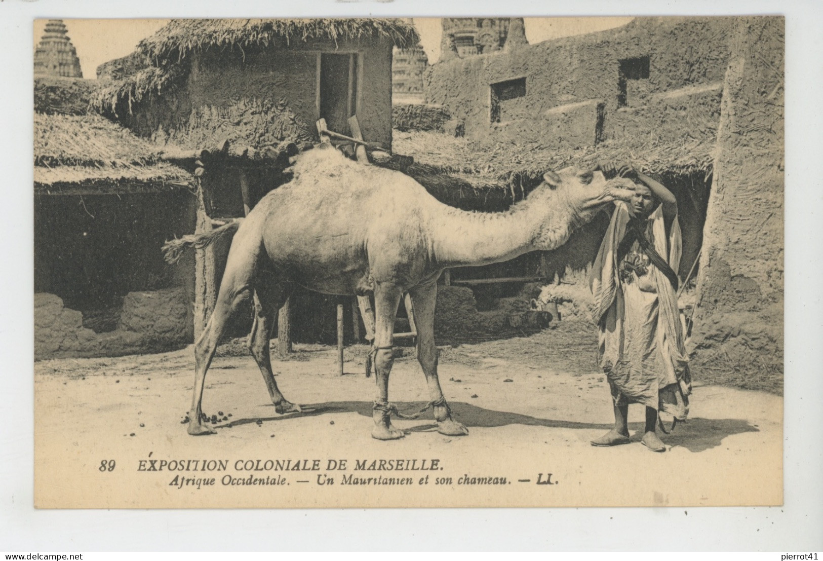 ETHNIQUES ET CULTURES - AFRIQUE OCCIDENTALE - Exposition Coloniale De Marseille - Un Mauritanien Et Son Chameau - Afrique