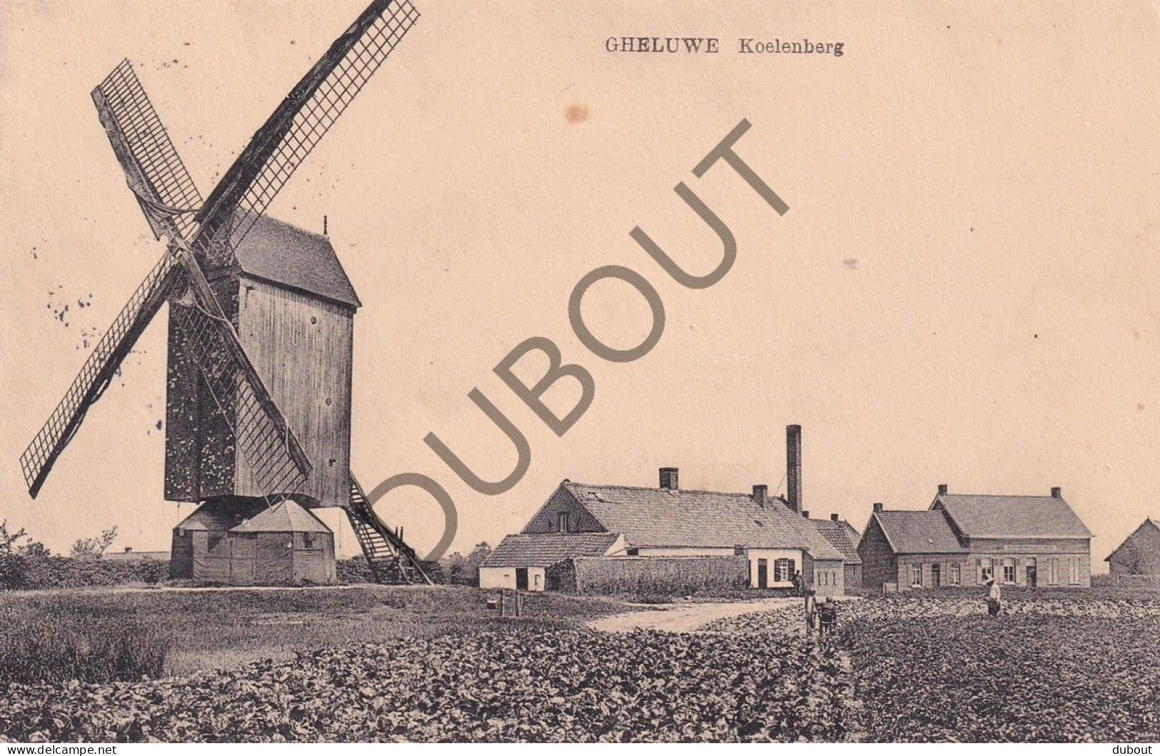 Postkaart/Carte Postale - Geluwe - Koelenberg - Molen (C4157) - Wervik
