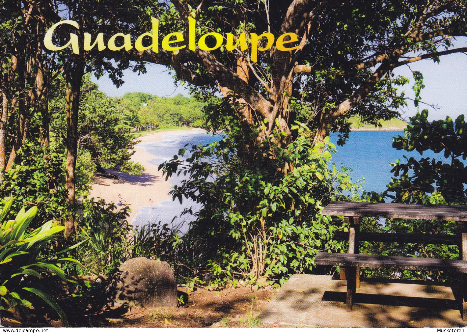 Goudeloupe CPA Guadeloupe Anttiles Francaises Deshaies Plage Amandiers 1999 BAGSVÆRD Denmark Marianne Lamouche (2 Scans) - Autres & Non Classés