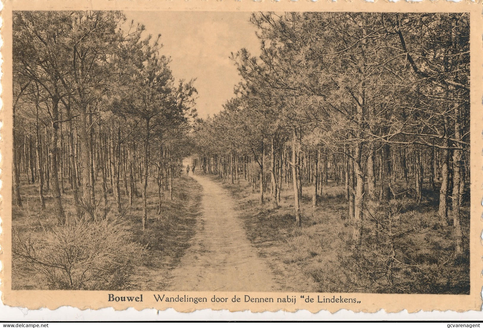 BOUWEL  WANDELINGEN DOOR DE DENNEN NABIJ DE LINDEKENS     2 SCANS - Grobbendonk