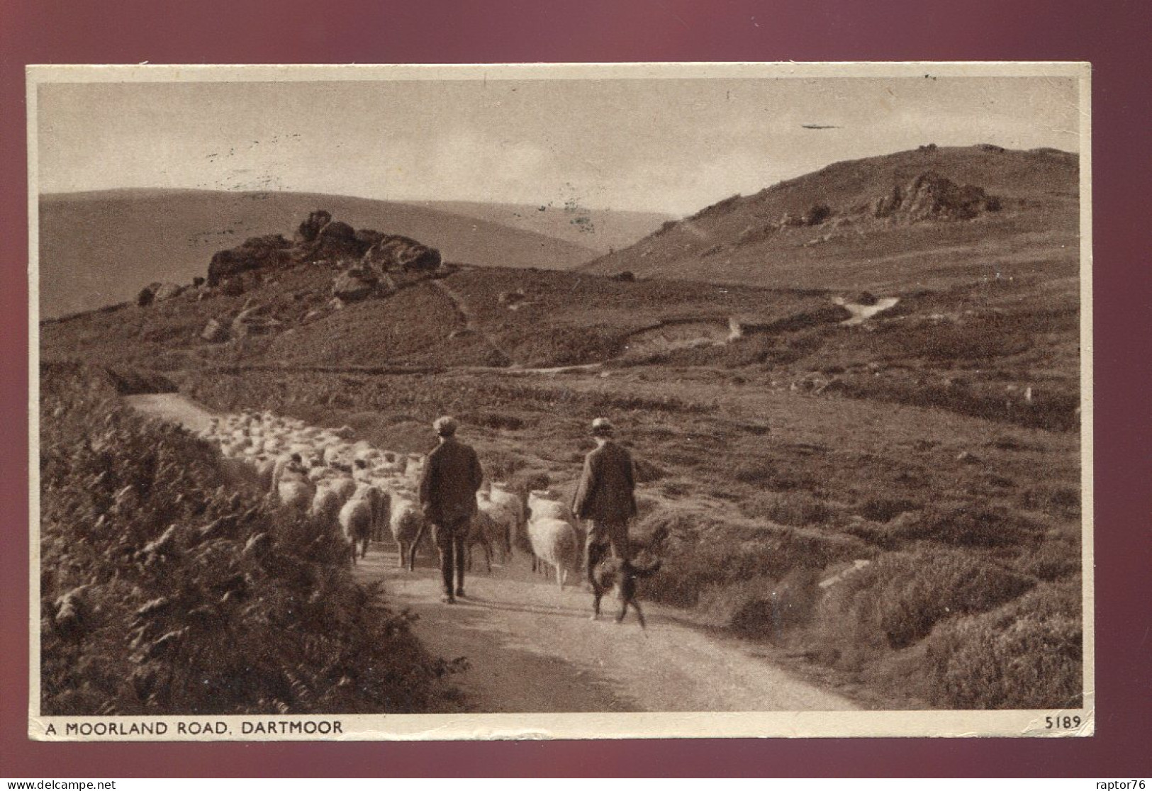 CPA Royaume Uni A Moorland Road DARTMOOR Moutons - Dartmoor