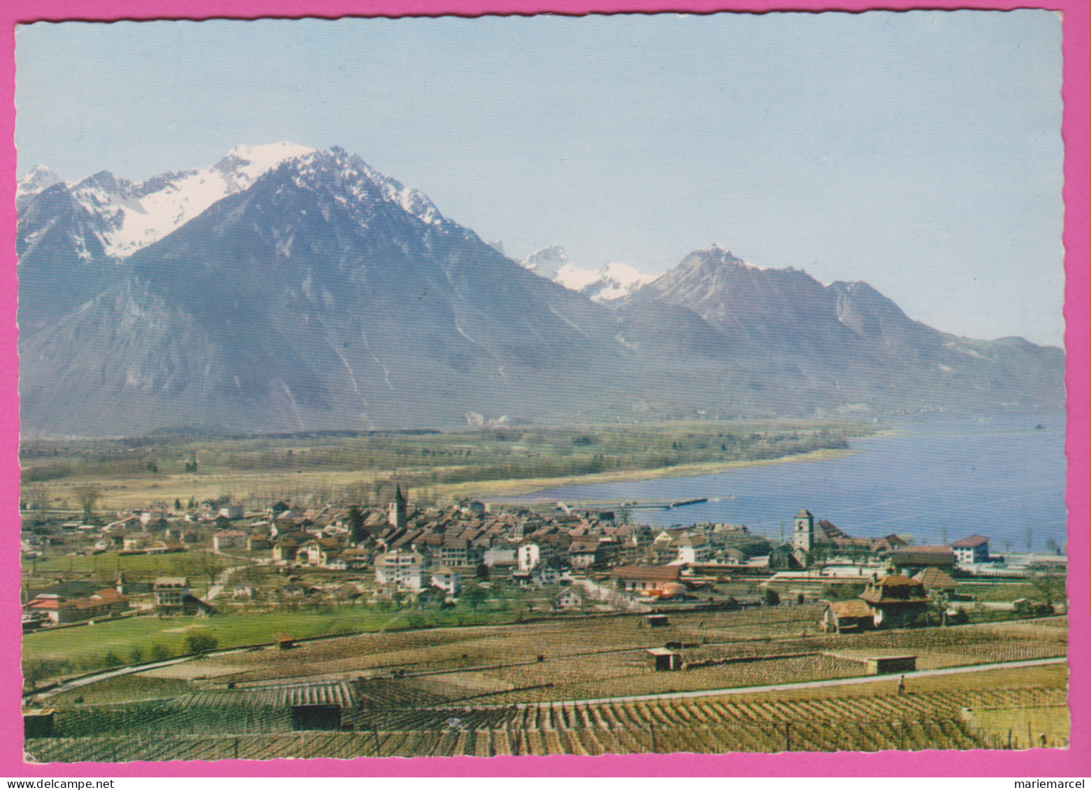 VILLENEUVE - VUE GÉNÉRALE ET LES ALPES DE SAVOIE - CPM Dentelée Grand Format - Villeneuve