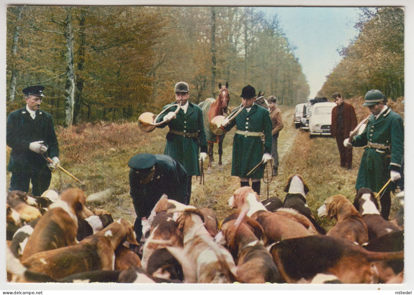 JJ 263 / CHASSE A COURRE  /  HUNTING - HETZJAGD - Chasse