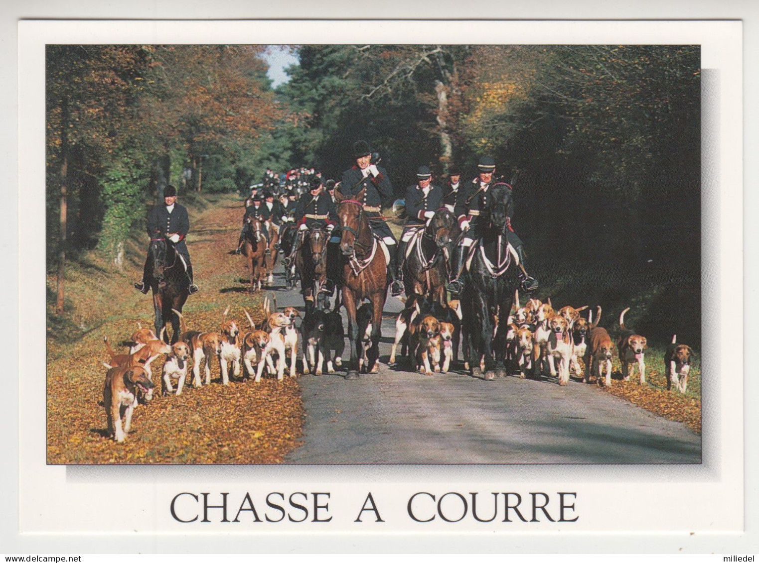 JJ 276 /  CHASSE A COURRE / - Chasse