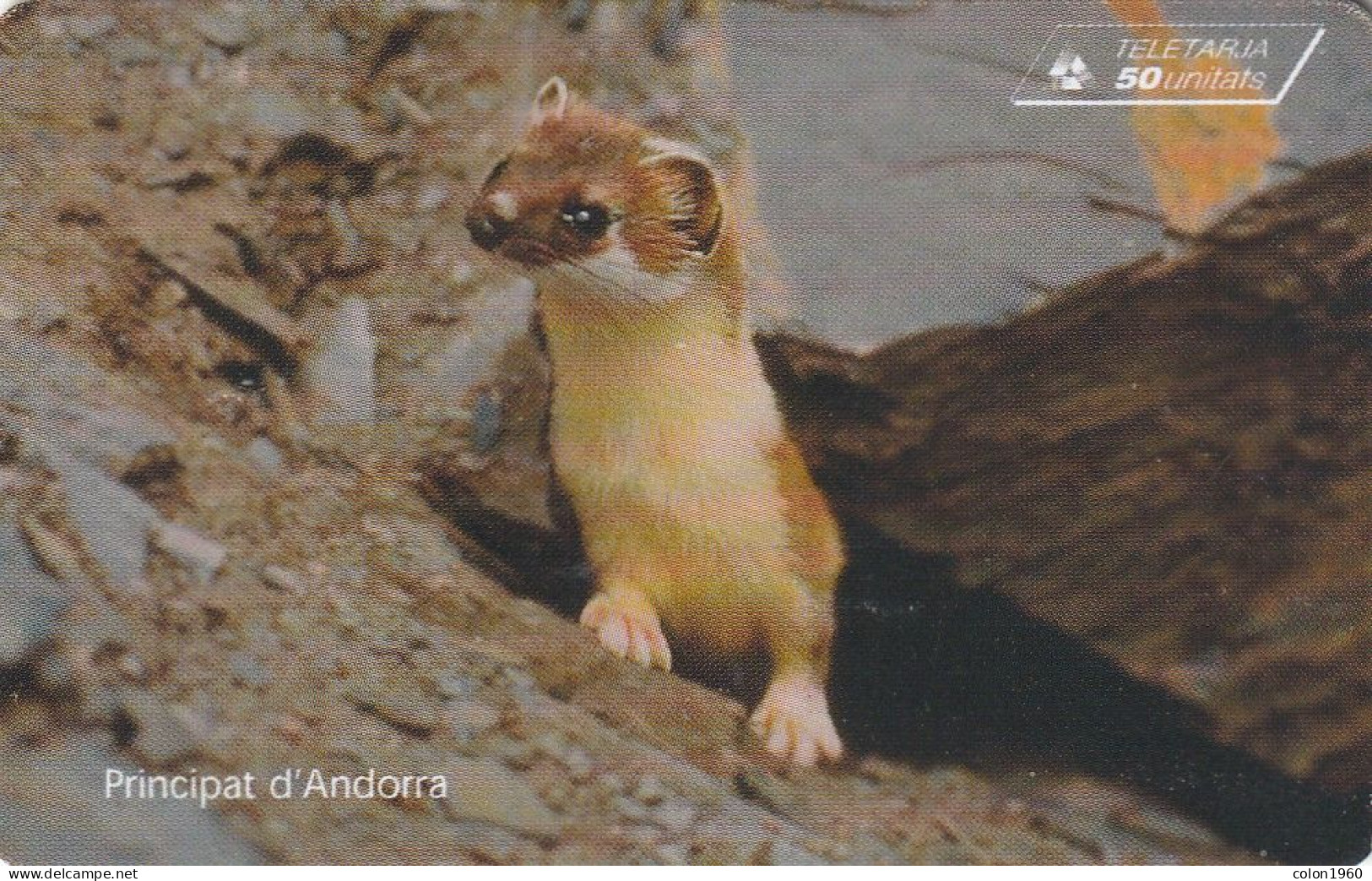 ANDORRA. AD-STA-0078. Pine Marten - COMADREJA. 1997-08. 20000 Ex. (110) - Andorra