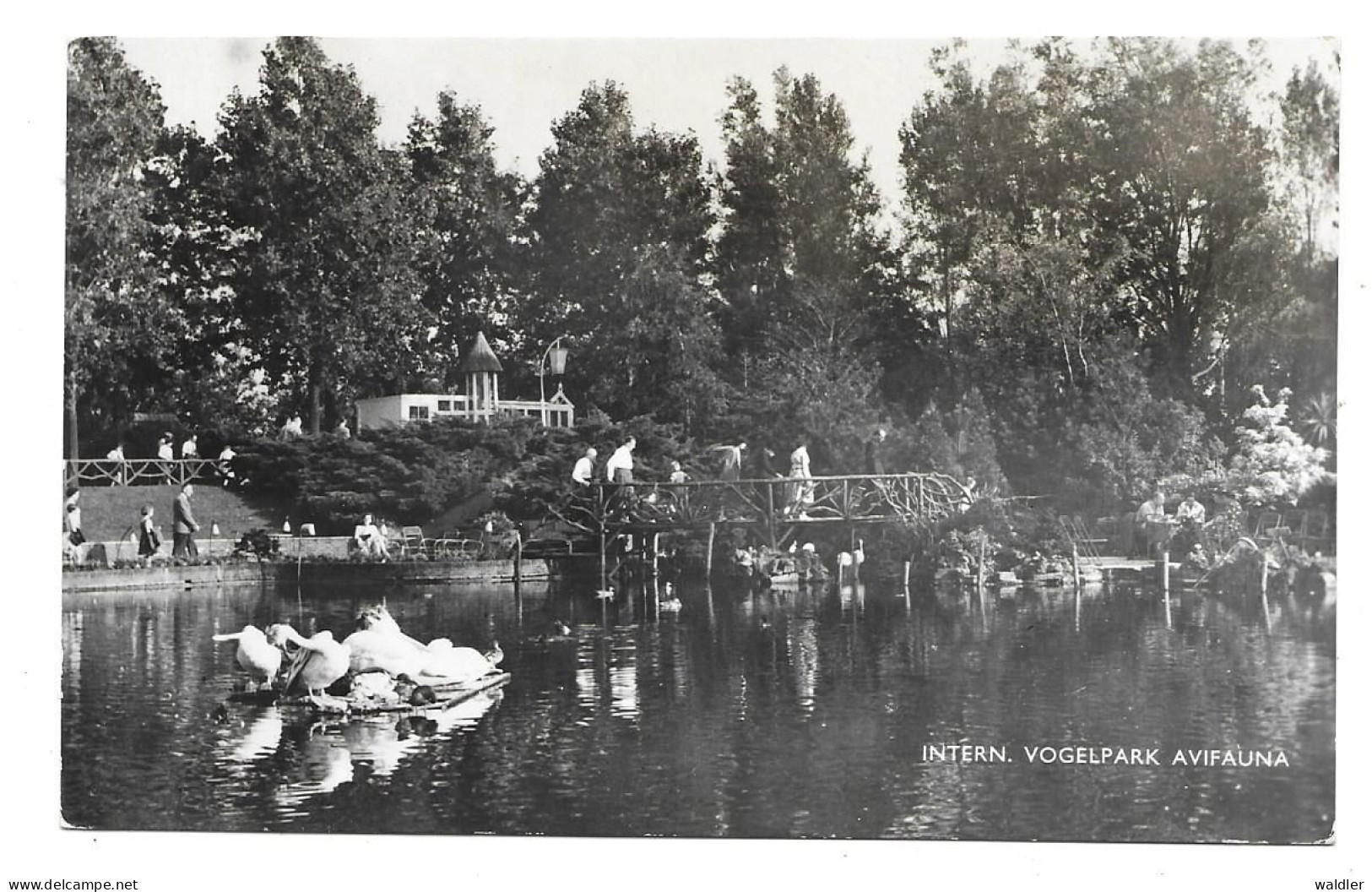 ALPHEN A/d RIJN - AVIFAUNA   1959 - Alphen A/d Rijn