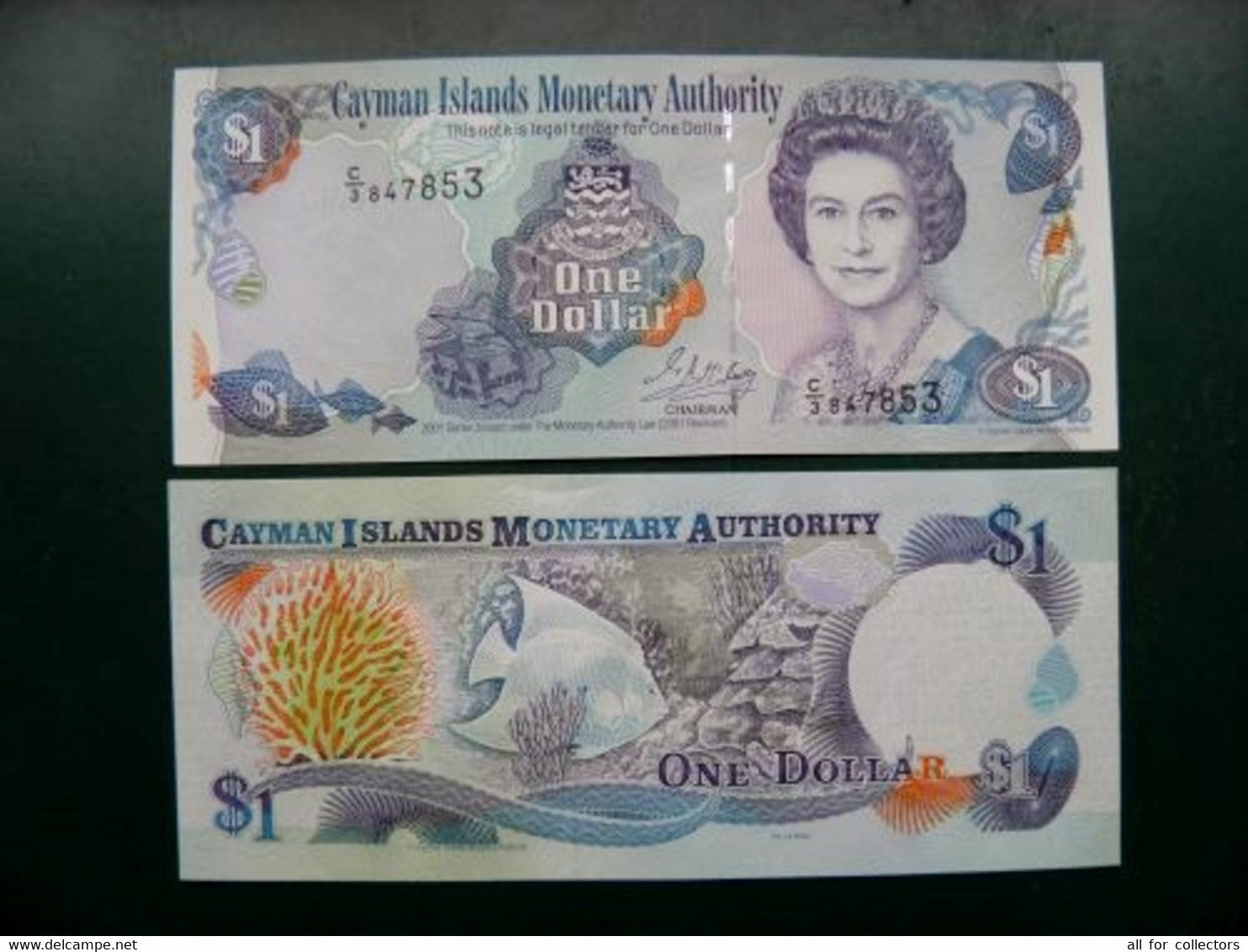 Unc Banknote Cayman Islands 2001 P-26b Prefix C/3 $1 Dollar Animal Fish Poisson Shell Coral - Kaimaninseln