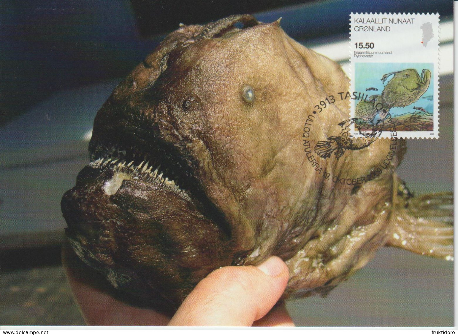Greenland Maximum Card Mi 543 Science - Atlantic Footballfish (Himantolophus Groenlandicus) 2009 - Cartoline Maximum
