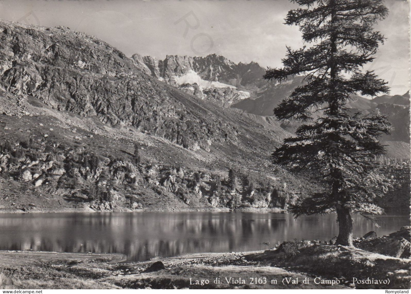 CARTOLINA  LAGO DI VIOLA M.2163,GRISONS,SVIZZERA-VAL DI CAMPO-POSCHIAVO-VIAGGIATA 1959 - Poschiavo