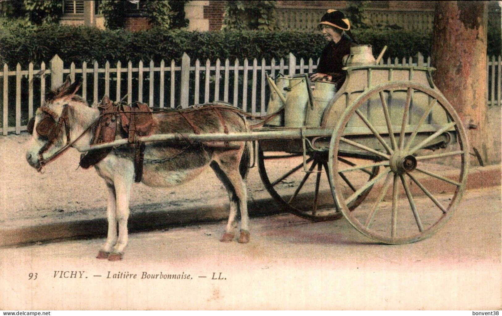 J1606 - VICHY - D03 - Laitière Bourbonnaise - Âne - Anes