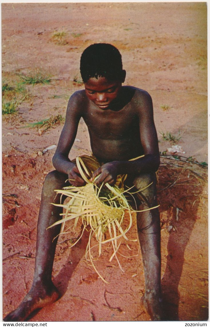 Guine Bissau - Portuguese Guinea - Guinee Portugaise - Young Balanta Black Boy - Garçon Balanta - Guinea-Bissau