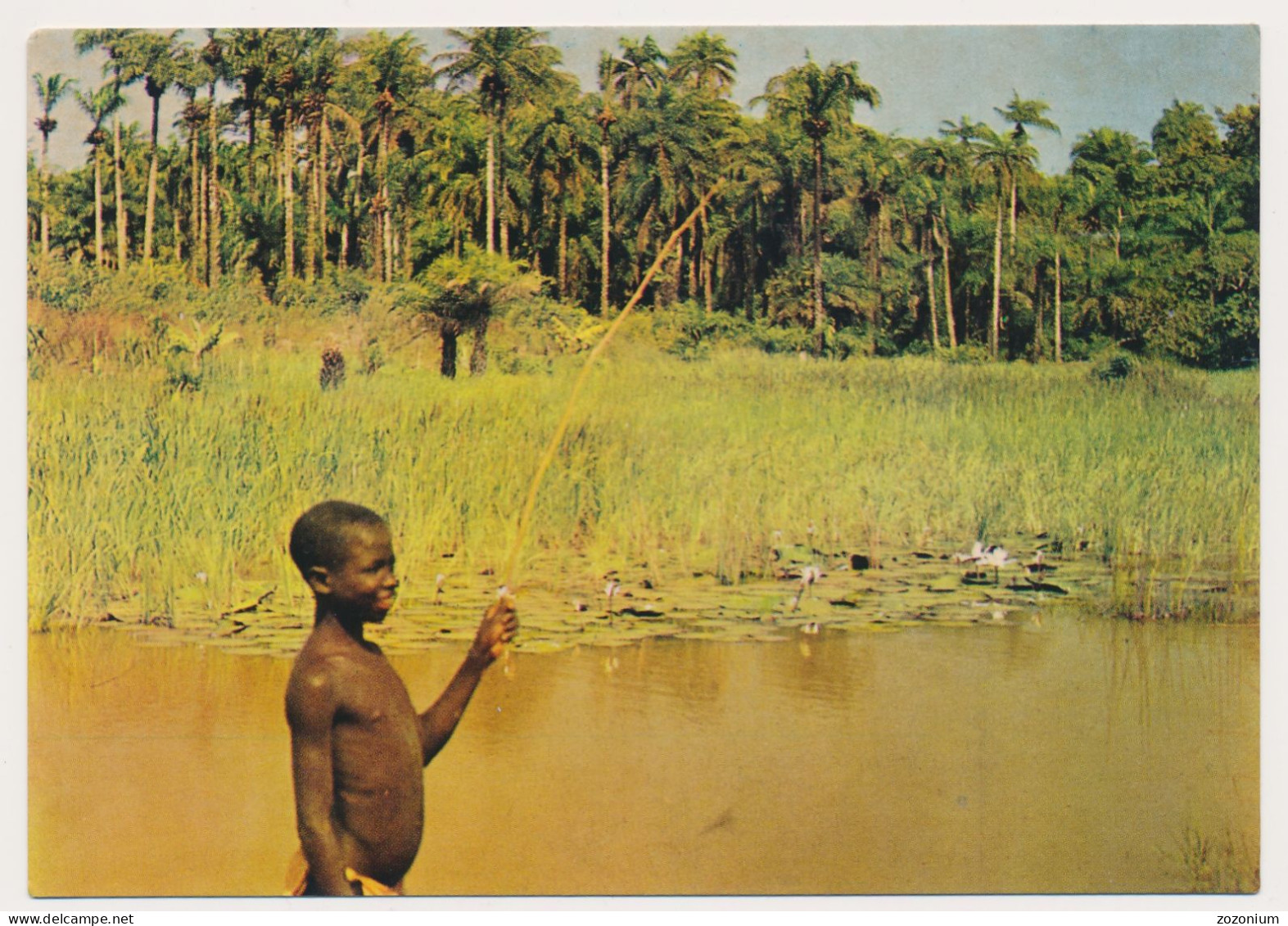 Guine Bissau - Portuguese Guinea - Guinee Portugaise  Paisagem, Black Boy - Garçon Menino - Guinea Bissau