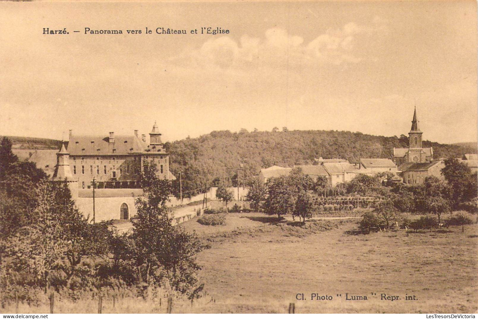 BELGIQUE - Harzé - Panorama Vers Le Château Et L'Eglise - Carte Postale Ancienne - Aywaille