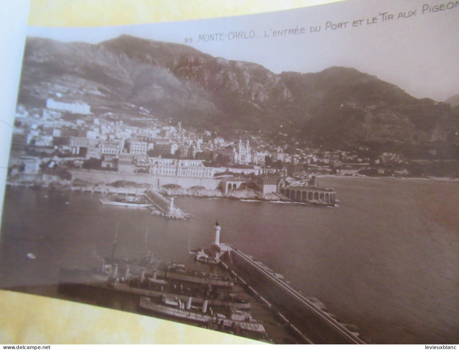 20 Cartes Postales détachables/"MONACO-MONTE CARLO"/real Photos/vers 1920-1930    CPDIV397