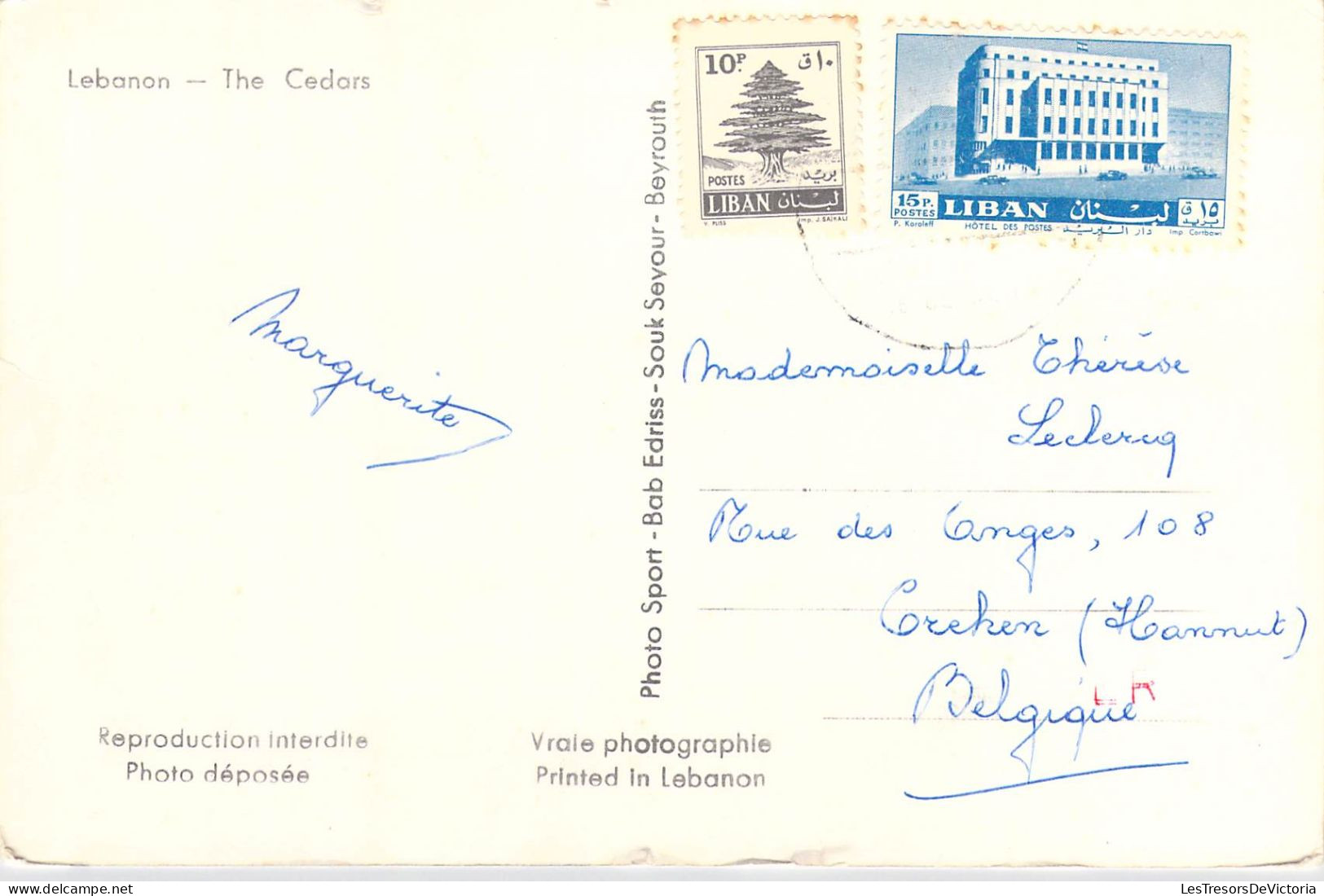 LIBAN - Les Cèdres - Carte Postale Ancienne - Lebanon