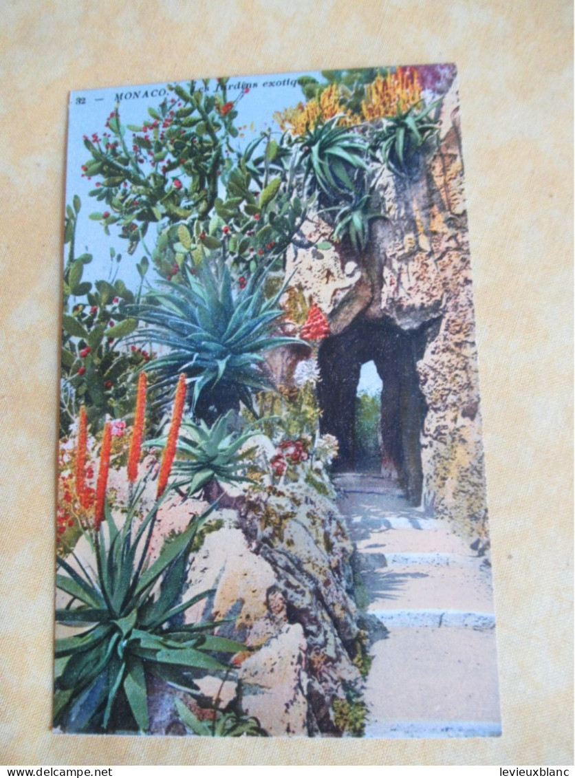 Monaco  /Les Jardins Exotiques /Lemaitre Editeur ,  Nice/ Vers 1910-1920    CPDIV399 - Exotischer Garten